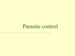 Parasite population models Parasite control