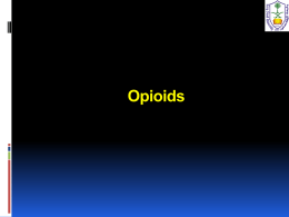 08_opoids