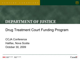 The Drug Treatment Court Funding Program