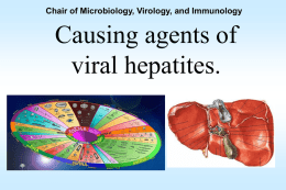 20 Causing agents of viral hepatites