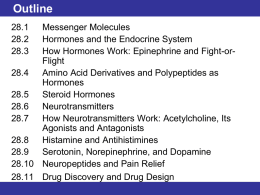 28.2 Hormones and the Endocrine System