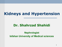 Kidneys and Hypertension