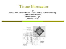 Tissue Bioreactor