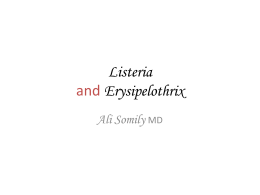 Listeria and Erysipelothrix Nov 2009