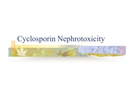 Cyclosporin Nephrotoxicity