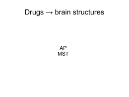 Drugs → brain structures AP MST Bipolar disorder NICE Diagnosis