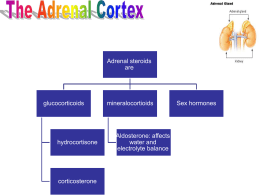 10. corticosteroidsx