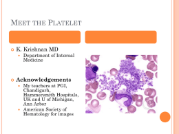 Meet the Platelet