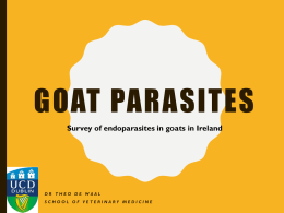 Goat Parasites