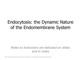 Endocytosis (PowerPoint) Midwest 2011