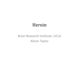 Heroin - UCLA Brain Research Institute