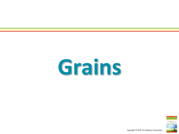 Grains - Dr. Michelle Robin