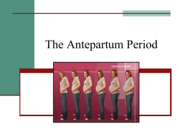 The Antepartum Period