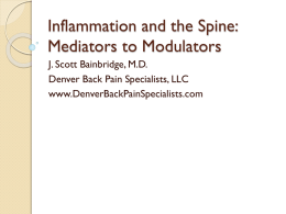 Inflammation - Denver Back Pain Specialists