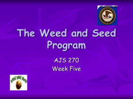 The Weed and Seed Program