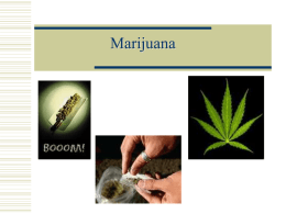 Marijuana - Staff Web Pages