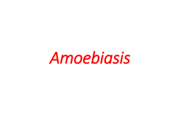 Amebiasis Amebiasis is an infection of the intestinal
