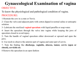 Gynaecological Examination of vagina
