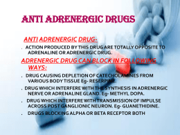 Anti Adrenergic Drugs