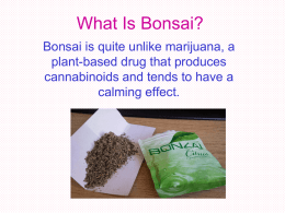 What Is Bonsai?