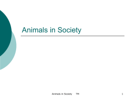Animal Roles