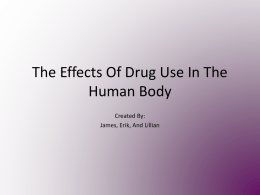 The Effects Of Drug Use In The Human Body
