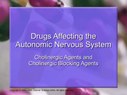 Cholinergic Drugs. Anticholinergic Agents