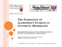 The Formation of Alzheimer*s Plaques in Synthetic