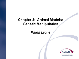 Chapter 8: Animal Models: Genetic Manipulation