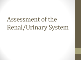 Assessment of the Renal/Urinary System