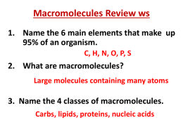 Macromolecules Review ws Name the 6 main elements that make