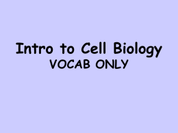 Intro to Biology Vocab only