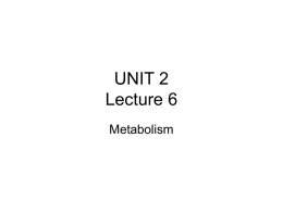 Lecture 6