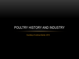 Poultry History and Industry