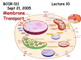 10 Membrane Transport 9 21 05