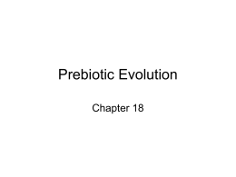 Prebiotic Evolution