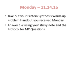 protein synthesis slides - week 22x