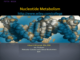 5-1 Necleotide Metabolism