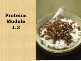Student Module_1-3_Proteins