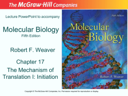 Chapter 17 Lecture PowerPoint - McGraw Hill Higher Education