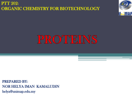 proteins - Portal UniMAP