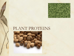 plant proteins - gozips.uakron.edu