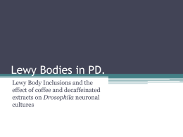 Lewy Bodies in PD.