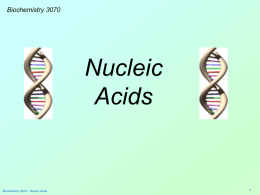 Nucleic Acids - Weber State University