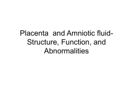 Placenta and Amniotic fluid- Structure, Function, and Abnormalities
