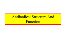 Antibodies : Structure and Function Chpt. 4