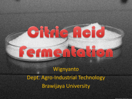 Citric Acid Fermentation