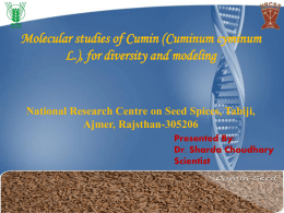 Molecular studies of Cumin (Cuminum cyminum L.)