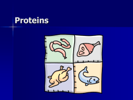 Chapter 7: Proteins