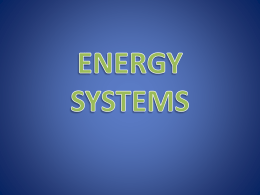 The 3 Energy Systems